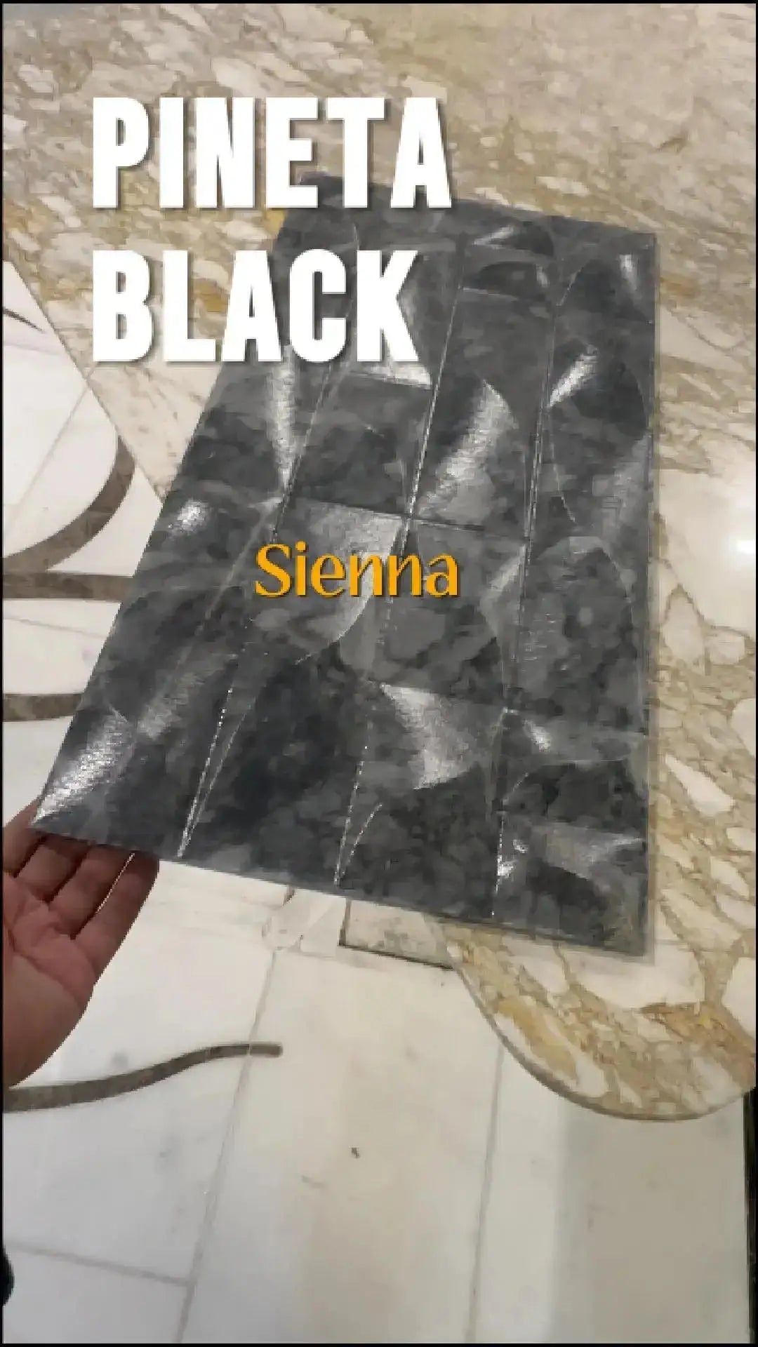 a façade una fachada
panelclad panelclad (revestimiento de paneles)
Curved Curtain Wall Revit muro cortina curvo en Revit